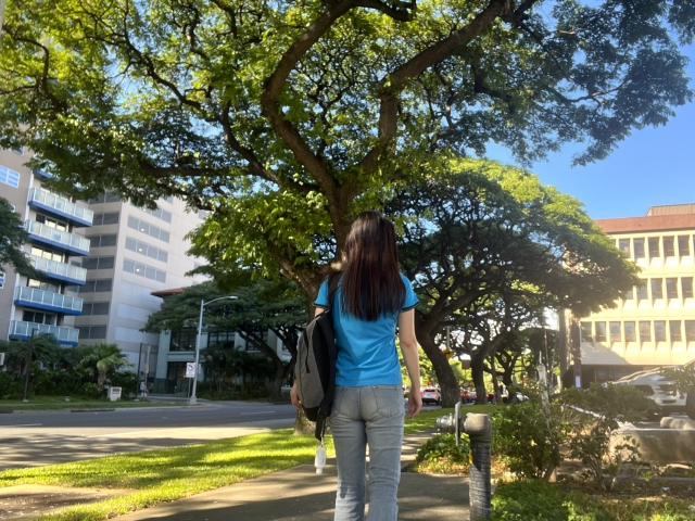 通所経路の確認